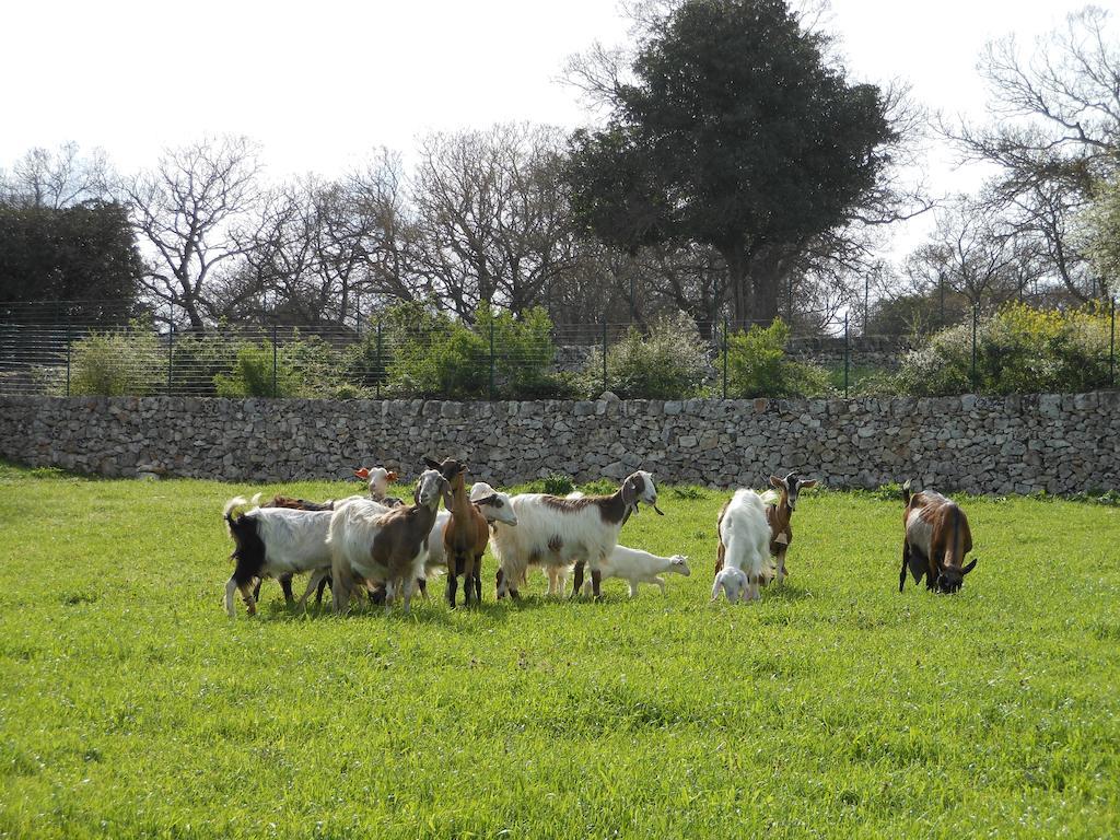 Villa Agriturismo Masseria Casedde Vecchie à Martina Franca Extérieur photo