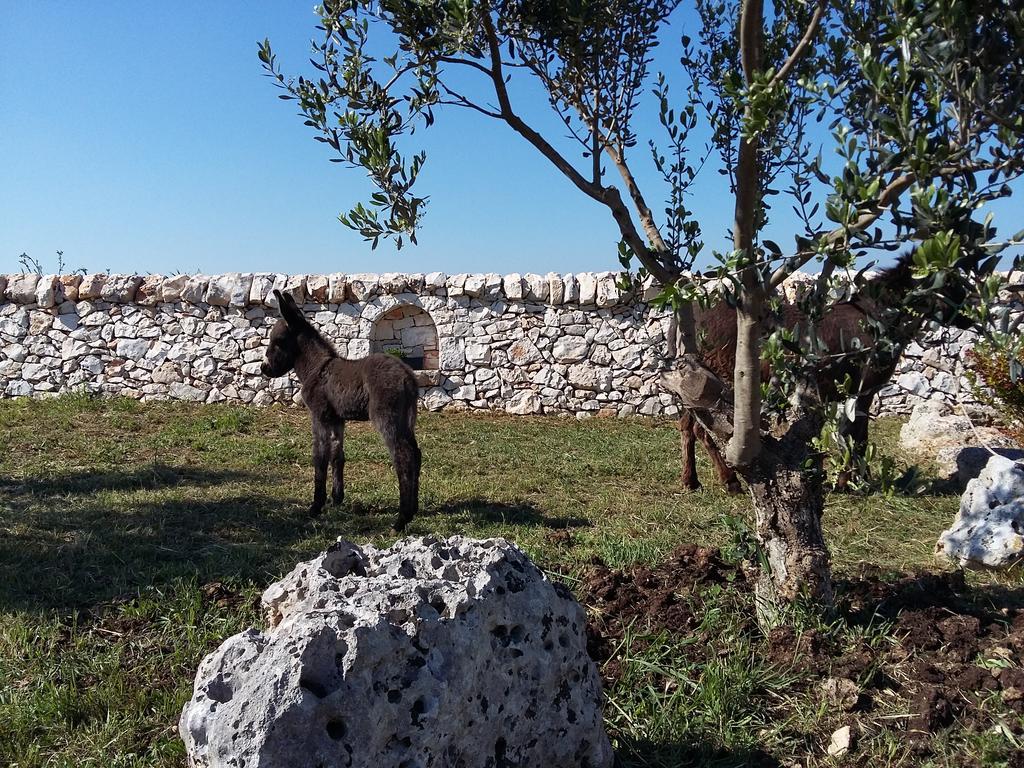 Villa Agriturismo Masseria Casedde Vecchie à Martina Franca Extérieur photo